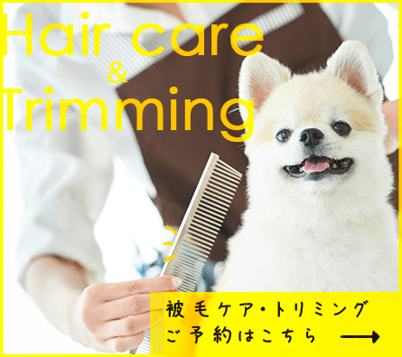 有名トリマーの紹介